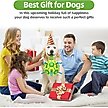 Show in main carousel: Nocciola Soccer Ball with Straps Interactive Dog Toy, Yellow & Green, 6-in slide 2 of 7