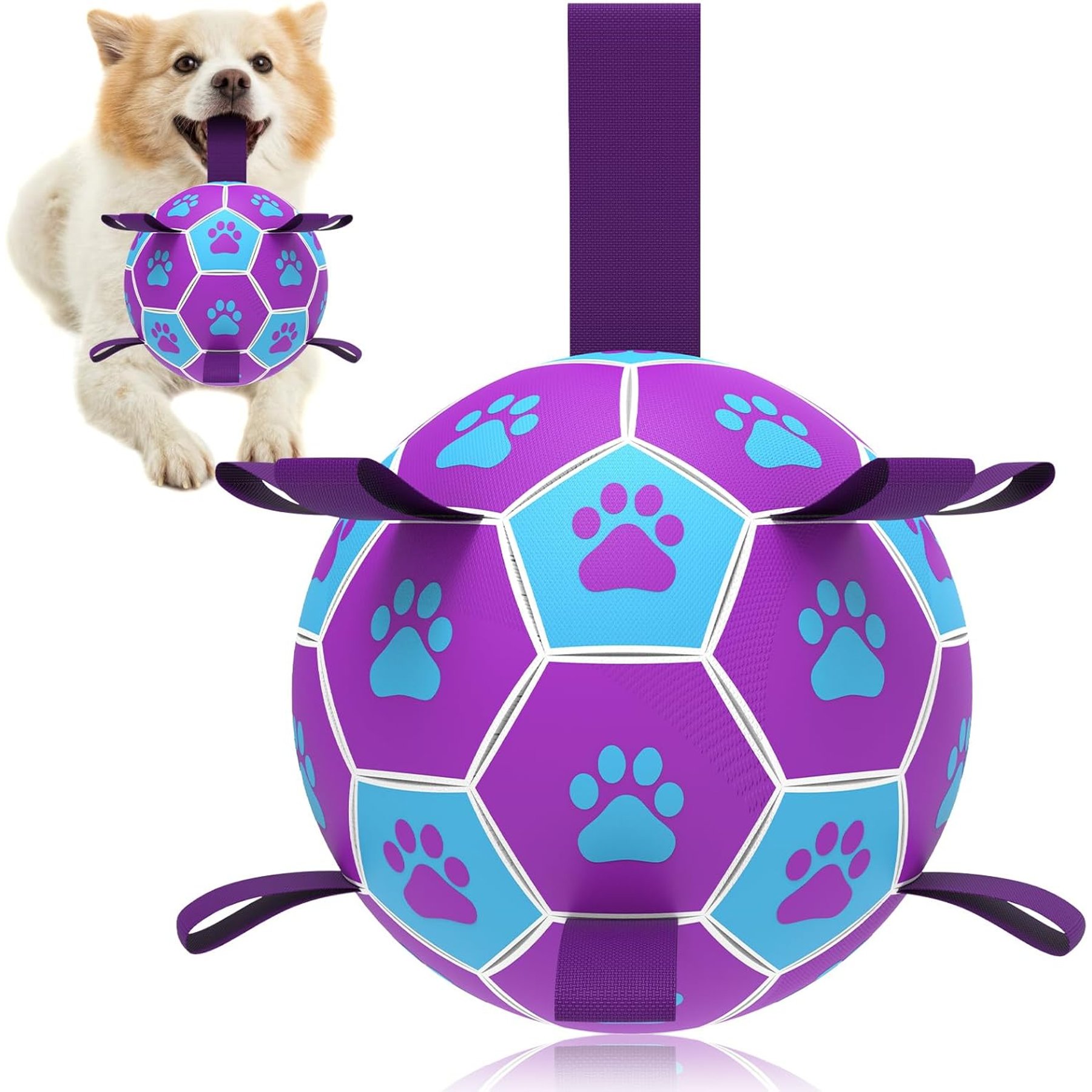 Nocciola Soccer Ball with Straps Interactive Dog Toy, Blue & Purple, 6-in