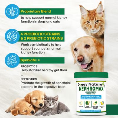 Show full view: NephroMax Synbiotic Capsules Kidney Support Supplement for Dogs & Cats, 120 count slide 6 of 10