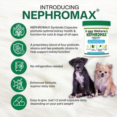 Show full view: NephroMax Synbiotic Capsules Kidney Support Supplement for Dogs & Cats, 120 count slide 8 of 10