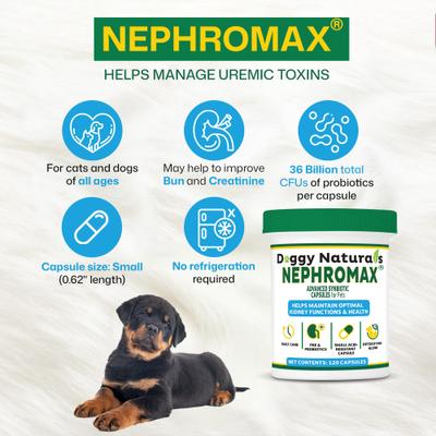 Show full view: NephroMax Synbiotic Capsules Kidney Support Supplement for Dogs & Cats, 120 count slide 5 of 10