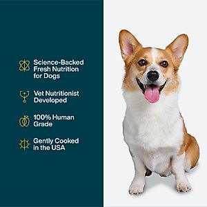 JustFoodForDogs Pantry Fresh Chicken & White Rice Fresh Dog Food, 12.5-oz pouch, case of 12