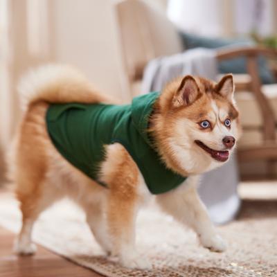 Frisco Basic Dog & Cat Hoodie