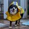 Show in main carousel: Frisco Lightweight Rainy Days Dog Raincoat, Yellow, XX-Large slide 7 of 10
