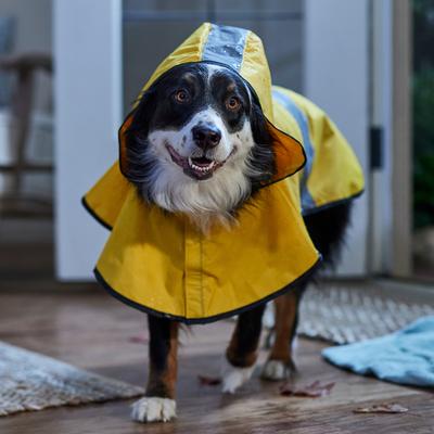 Show full view: Frisco Lightweight Rainy Days Dog Raincoat, Yellow, XX-Large slide 7 of 10