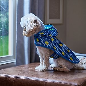 Frisco Lightweight Rubber Ducky Dog Raincoat, Blue, Small