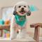 Show in main carousel: Frisco Dog & Cat Birthday Bandana, X-Small/Small slide 4 of 8