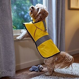 Frisco Lightweight Rainy Days Dog Raincoat, Yellow, Medium