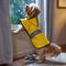 Show in main carousel: Frisco Lightweight Rainy Days Dog Raincoat, Yellow, Medium slide 7 of 10