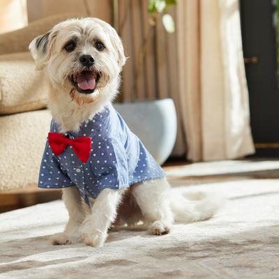 Show full view: Frisco Polka Dot Chambray Dog & Cat Button Up Shirt, X-Large slide 8 of 10