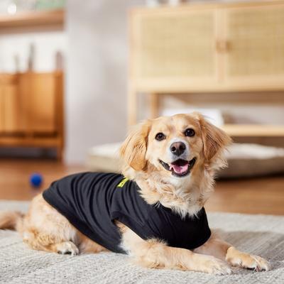 Show full view: Frisco Security Dog & Cat T-Shirt, Jet Black, Large slide 7 of 10