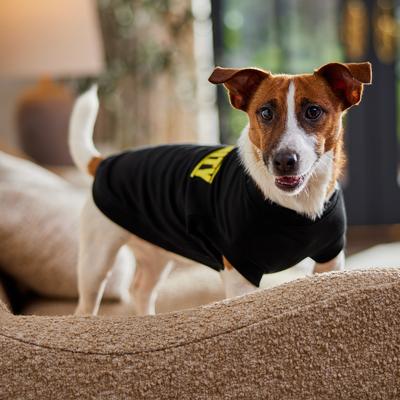 Show full view: Frisco Security Dog & Cat T-Shirt, Jet Black, Medium slide 8 of 11