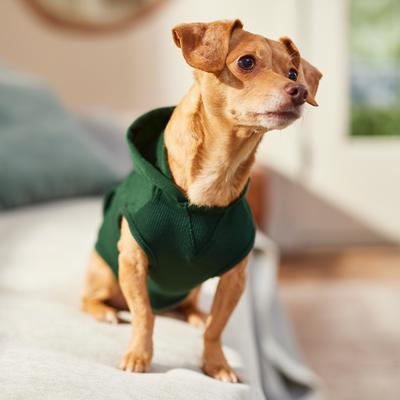 Frisco Dog & Cat Basic Hoodie