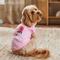 Show in main carousel: Frisco I Love Mommy Dog & Cat T-Shirt, Pink, Medium slide 8 of 10