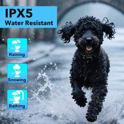 Show full view: PATPET Automatic Dog Bark Collar, Black, 1 count slide 4 of 9