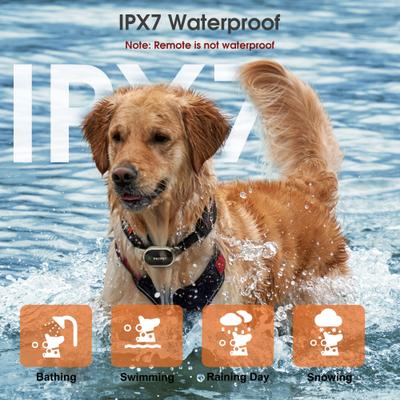 Show full view: PATPET 2025 IPX7 Waterproof Dog Training Collar, Green, 1 count slide 4 of 8
