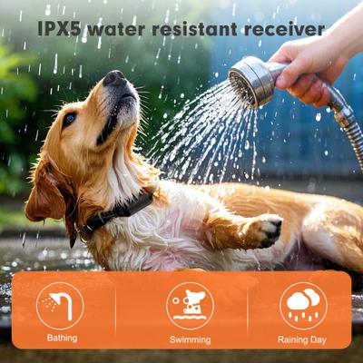 Show full view: PATPET Waterproof Dog Training Collar, Black, 1 count slide 5 of 11