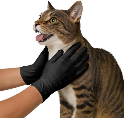 Show full view: FifthPulse Nitrile Exam Gloves, Black, Large, 150 Count slide 9 of 10