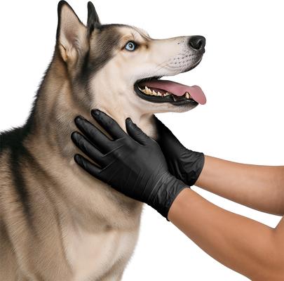 Show full view: FifthPulse Nitrile Exam Gloves, Black, Large, 150 Count slide 8 of 10