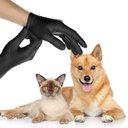 FifthPulse Nitrile Exam Gloves, Black, X-Large, 150 Count