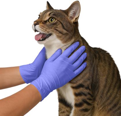 Show full view: FifthPulse Nitrile Exam Gloves, Violet Blue, X-Large, 150 Count slide 9 of 10