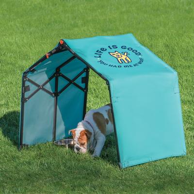 Show full view: LIFE IS GOOD Outdoor Pet Shade, Teal Blue, 3.5-ft slide 2 of 9