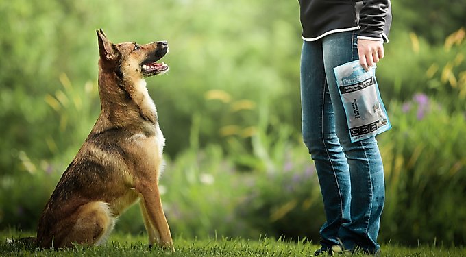 PureBites Lamb Liver Freeze-Dried Raw Dog Treats