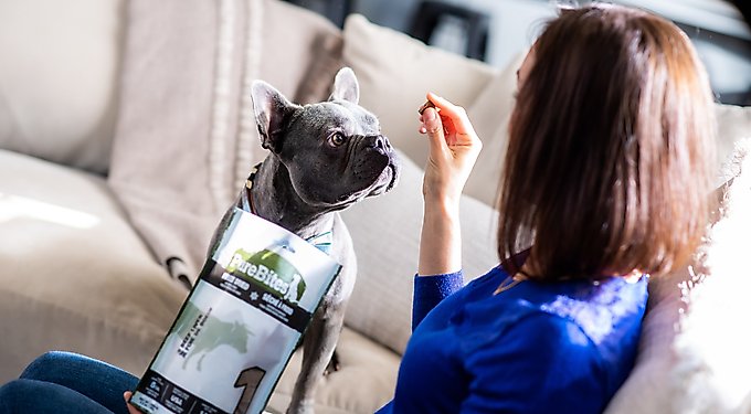 PureBites Lamb Liver Freeze-Dried Raw Dog Treats