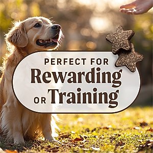 Merrick Power Bites Real Texas Beef Recipe Grain-Free Soft & Chewy Dog Treats, 6-oz bag