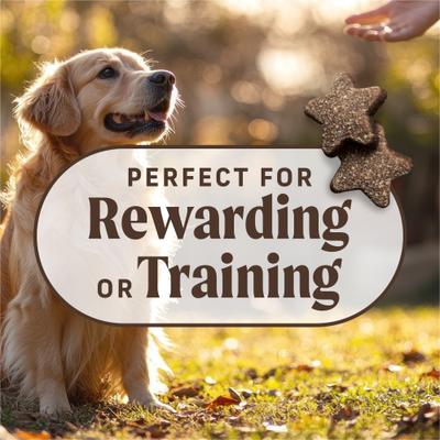 Show full view: Merrick Power Bites Real Salmon Recipe Grain-Free Soft & Chewy Dog Treats, 6-oz bag slide 6 of 13