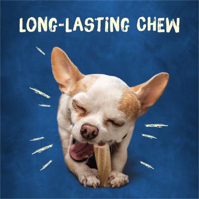 Show full view: Busy Bone Long-Lasting Real Meat Tiny Dog Treat, 60 count slide 6 of 14