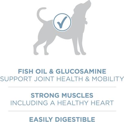 Show full view: Purina ONE +Plus Adult Joint Health Formula Dry Dog Food, 8-lb bag slide 6 of 11