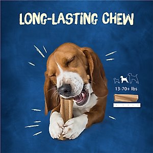 Busy Bone Peanut Butter Flavor Long-Lasting Chew Adult Small/Medium Dog Treats, 10 count pouch