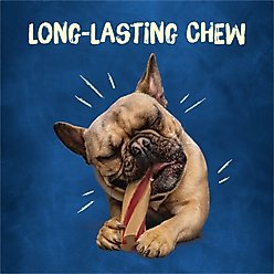 Busy Bone with Beggin' Twist'd! Long-Lasting with Real Bacon Mini Dog Treats, 12 count slide 2 of 9