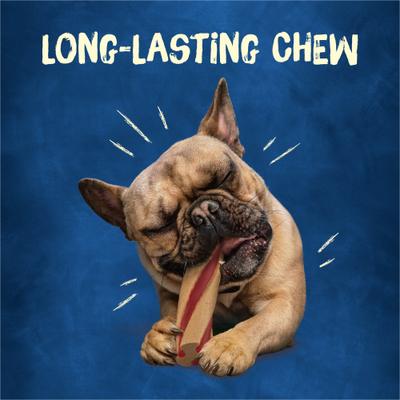 Show full view: Busy Bone with Beggin' Twist'd! Long-Lasting with Real Bacon Mini Dog Treats, 12 count slide 6 of 14