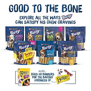 Busy Bone Peanut Butter Flavor Long-Lasting Chew Adult Small/Medium Dog Treats, 10 count pouch