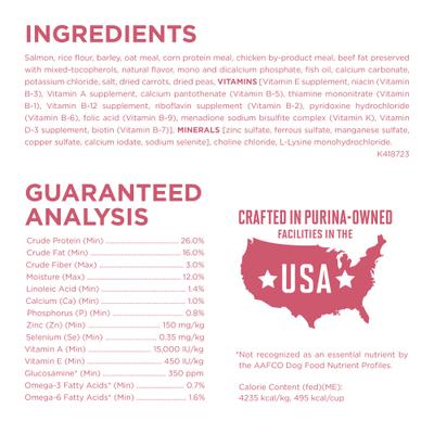 Purina ONE +Plus Adult Skin & Coat Formula Dry Dog Food