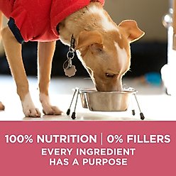 Purina ONE +Plus Adult Skin & Coat Formula Dry Dog Food, 8-lb bag slide 2 of 8