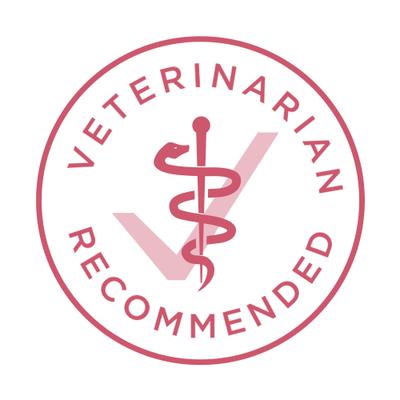 Purina ONE +Plus Adult Skin & Coat Formula Dry Dog Food