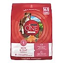 Purina ONE +Plus Adult Skin & Coat Formula Dry Dog Food, 16.5-lb bag