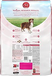 Purina ONE +Plus Adult Skin & Coat Formula Dry Dog Food, 31.1-lb bag slide 2 of 9
