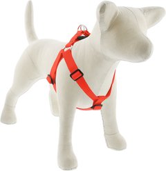 LupinePet Basic Solid Step In Dog Harness, Blaze Orange, Medium: 19 to 28-in chest, 1-in wide