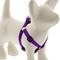 Show in main carousel: LupinePet Basic Solid Step In Dog Harness, Purple, X-Small: 10 to 13-in chest, 1/2-in wide slide 1 of 7