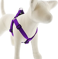 LupinePet Basic Solid Step In Dog Harness, Purple, Medium: 19 to 28-in chest, 1-in wide slide 1 of 6