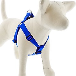 LupinePet Basic Solid Step In Dog Harness, Blue, Large: 24 to 38-in chest, 1-in wide