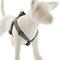 Show in main carousel: LupinePet ECO Recycled Step In Dog Harness, Granite, Large: 24 to 38-in chest, 1-in wide slide 1 of 7