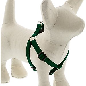 LupinePet Basic Solid Step In Dog Harness, Green, Small: 12 to 18-in chest, 1/2-in wide