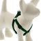 Show in main carousel: LupinePet Basic Solid Step In Dog Harness, Green, Small: 12 to 18-in chest, 1/2-in wide slide 1 of 7