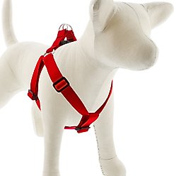LupinePet Basic Solid Step In Dog Harness, Red, Medium: 19 to 28-in chest, 1-in wide