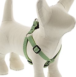 LupinePet ECO Recycled Step In Dog Harness, Moss, Small: 12 to 18-in chest, 1/2-in wide
